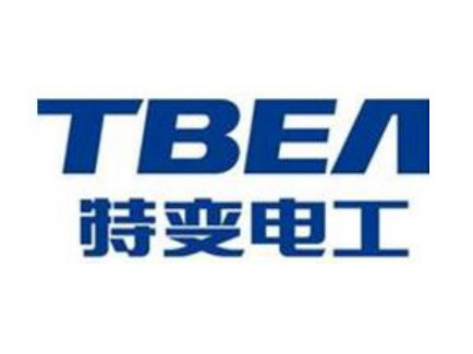 特變電(diàn)工