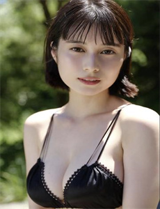 野花香电视剧高清播放